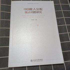 中国政府统计研究系列：中国收入分配统计问题研究