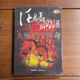 “东向长安”系列丛书·汗血马的眼泪：大宛王国传奇（原创白金版）