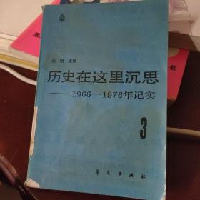 历史在这里沉思1966—1976年记实