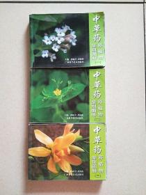 中草药原植物鉴别图册（第一，二，三册）三册合售