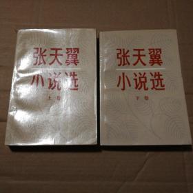 张天翼小说选上下卷【扉页有字。书角整体折痕。上卷后衬页表皮儿破损见图。无笔记划线。仔细看图】