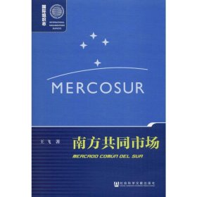 南方共同市场