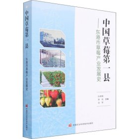 中国草莓第一县——东港市草莓产业发展史