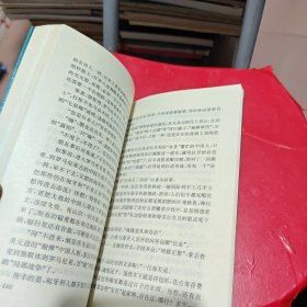 泪洒多瑙河—中国人在匈牙利 （作者签名，附钤印，包真）