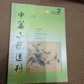 中篇小说选刊杂志2009/2