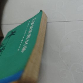 20世纪非洲文学