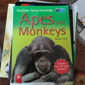 apes and monkeys