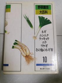 野菜园芸大百科  10（日文原版书）