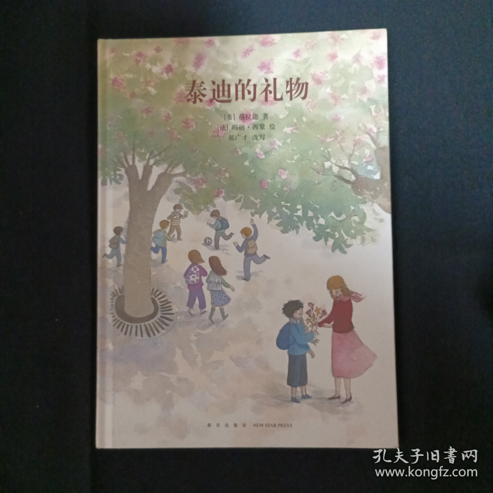 泰迪的礼物
