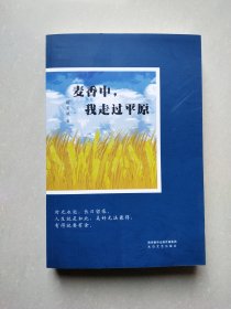 麦香中，我走过平原