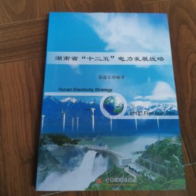 湖南省“十二五”电力发展战略