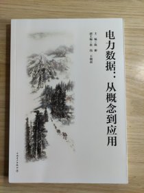 电力数据：从概念到应用