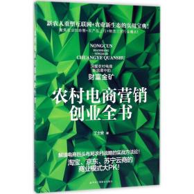 农村电商营销创业全书 电子商务 丁士安