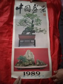 1989年中国盆景挂历 12张全