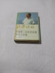 小平你好 中国第二次改革浪潮报告文学集