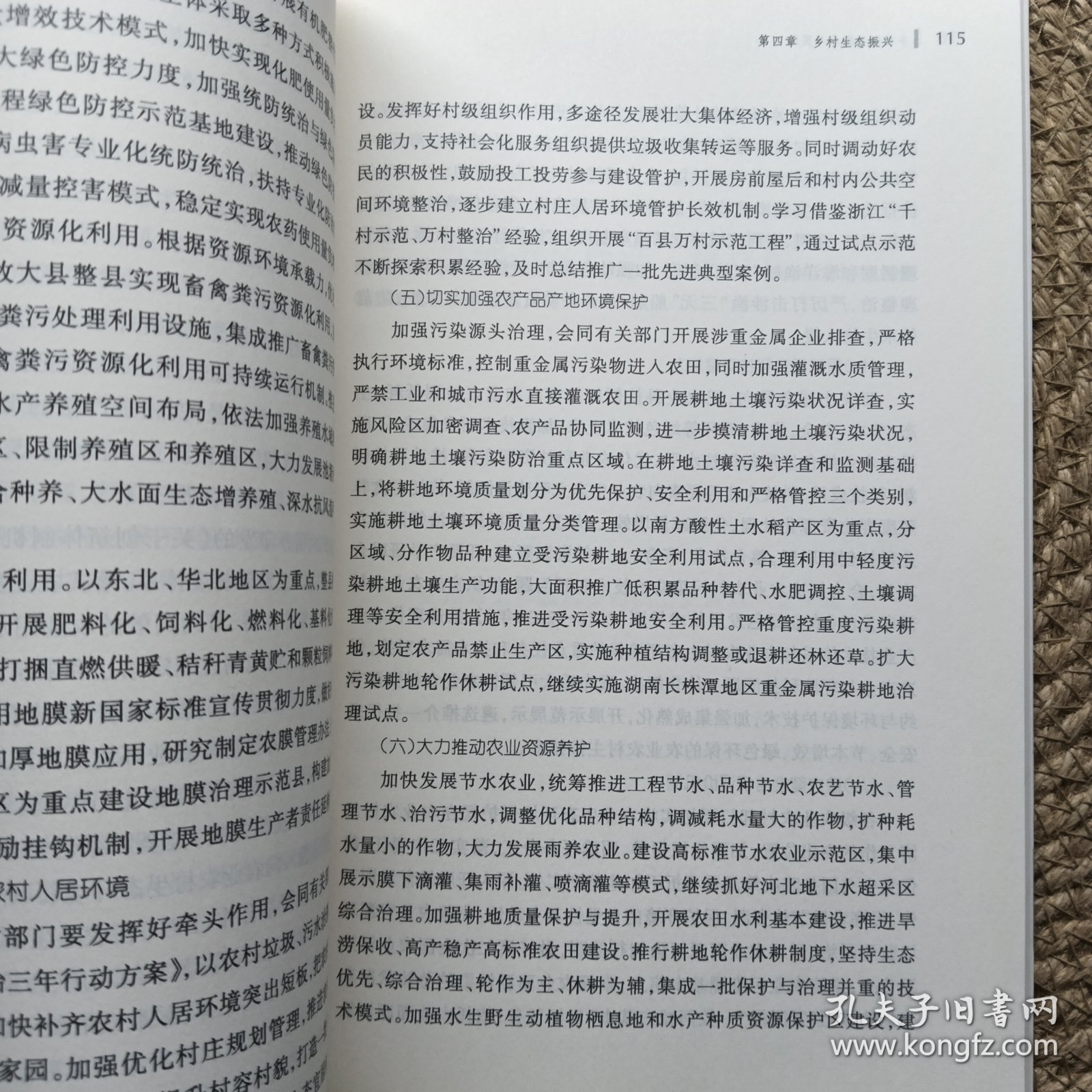 乡村振兴探索与实践