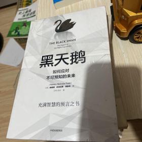 黑天鹅 如何应对不可预知的未来 充满智慧的预言之书