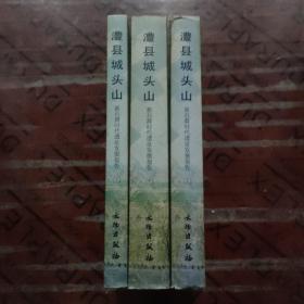 澧县城头山——新石器时代遗址发掘报告（上中下）