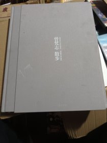 曾梵志：散步