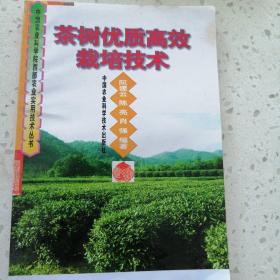 茶樹(shù)優(yōu)質(zhì)高效栽培技術(shù)——中國(guó)農(nóng)業(yè)科學(xué)院西部農(nóng)業(yè)實(shí)用技術(shù)叢書(shū)