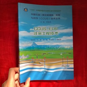 CCUS-EOR全过程风险识别与管控【16 开】