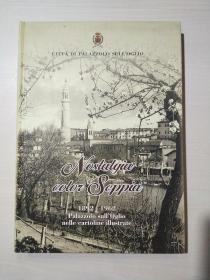 Nostalgia colos Seppia （1892-1962 Palazzolo sull Oglio nelle cartoline illustrate）