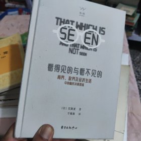 胭砚计划·看得见的与看不见的-商界、政界及经济生活中的隐形决策思维