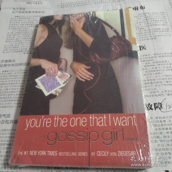 you're the one that i want a gossip girl novel