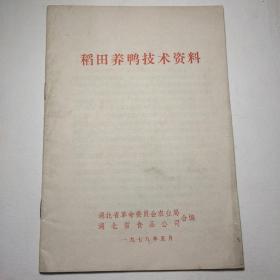 稻田养鸭技术资料