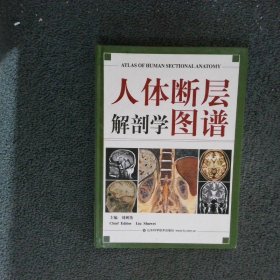 人体断层解剖学图谱