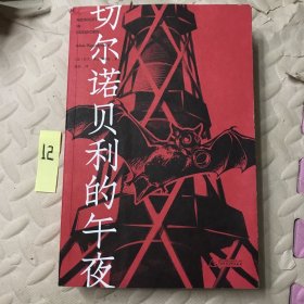 切尔诺贝利的午夜（《纽约时报》《时代周刊》年度图书）