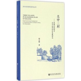 关中三村 城镇化进程中关中农村社区发展研究/关中农村研究系列丛书