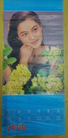 青春年华（三）1988年历画