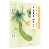 一周一畫-工筆蔬菜快速入門