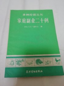 家庭副业二十例‘多种经营丛书’（农村读物1982年出版）有水渍。2024.1.12日上