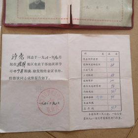 1981年，许亮（江苏省淮阴农业学校结业证书，成绩报告单）