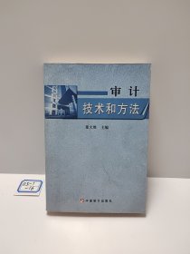 审计技术和方法