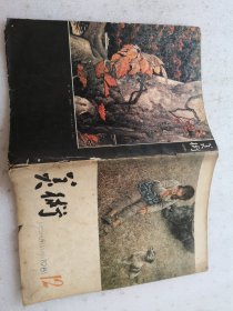 美术1981年12期