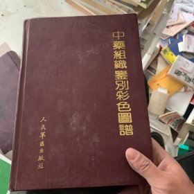 中药组织鉴别白色图谱