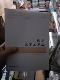 南京文学艺术志(精)