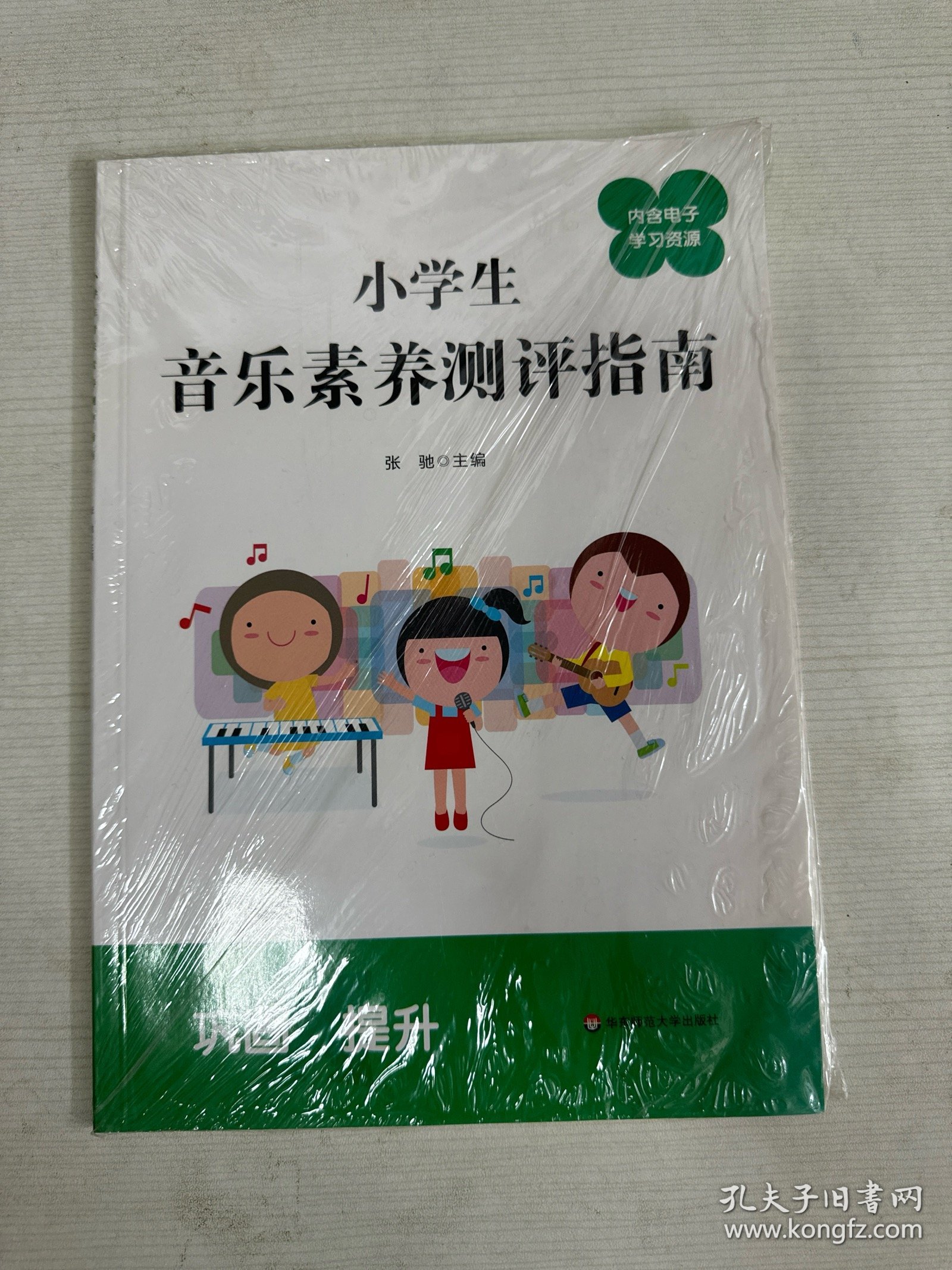 小学生音乐素养测评指南 【全新】