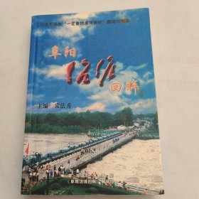 阜阳治淮回眸