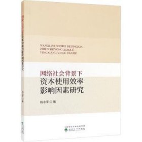 网络社会背景下资本使用效率影响因素研究