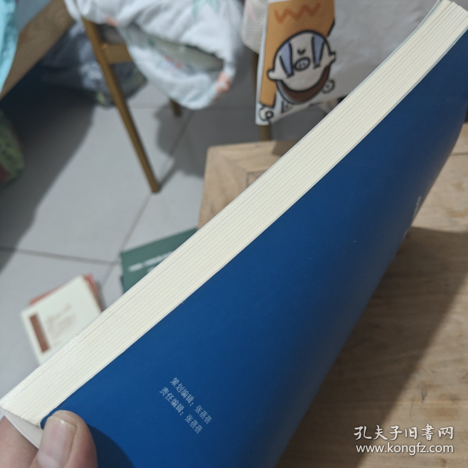 中国地震科学实验场科学设计