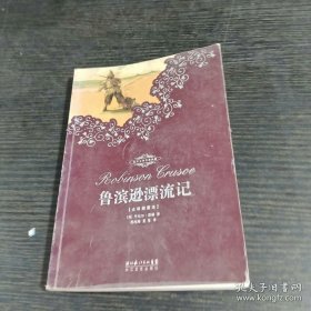 鲁滨逊漂流记