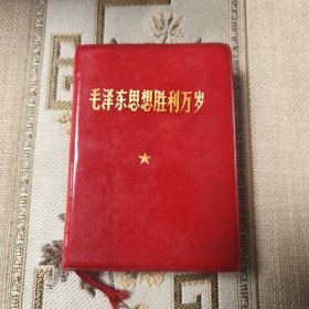 毛泽东思想胜利万岁