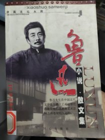 鲁迅作品选：小说·散文集 论文·杂文集