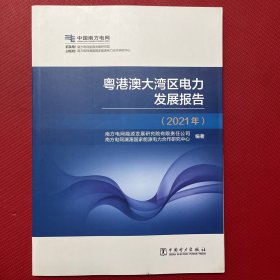 粤港澳大湾区电力发展报告（2021年）