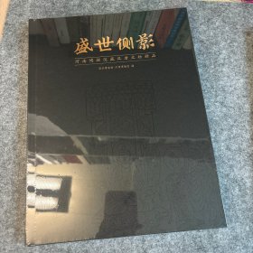 盛世侧影：河南博物院藏汉唐文物精品（全新未拆封）