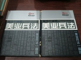 美业兵法实战工具包:美业兵法宣言 美业兵法18张+舞蹈专刊1张+会议系统1张 全20DVD